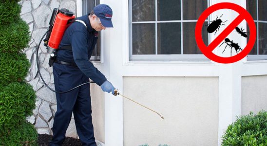 Bostanlı Fare İlaçlama böcek ilaçlama ve haşere kontrolü — ilaclama-tr.com